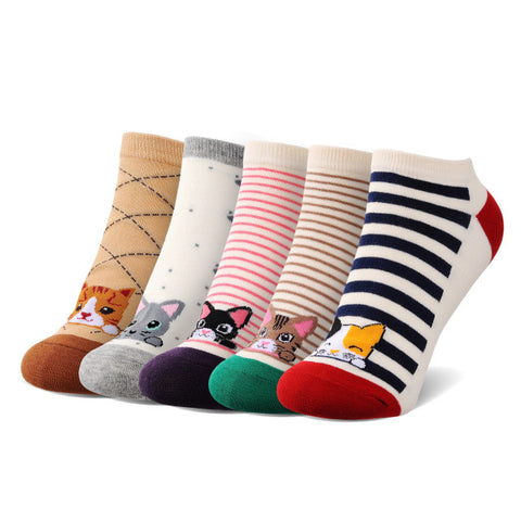 LIEBE ENGEL 2017 New Spring Summer Kawaii Women Socks Cute Cartoon Cat Striped Cotton Socks for Female (5 Pairs/Set)